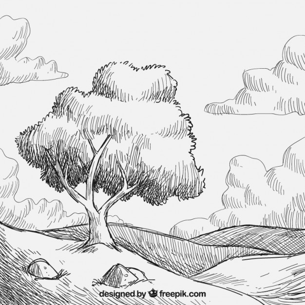 626x626 Sketched Tree Vectors, Photos And Psd Files Free Download - Tree Sketch Vector