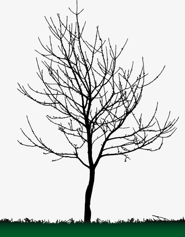 650x830 Tree Silhouette, Tree, Sketch Png And Vector For Free Download - Tree Sketch Vector