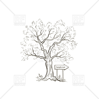 400x400 Tree With Arrow Sign Sketch Vector Image Vector Artwork Of - Tree Sketch Vector