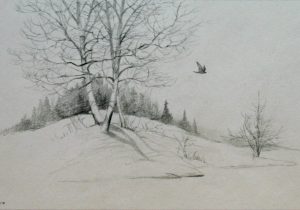 300x210 Natural Wallpaper Sketch A Natural Tree Sketch Wallpapers Hd - Tree Sketch Wallpaper