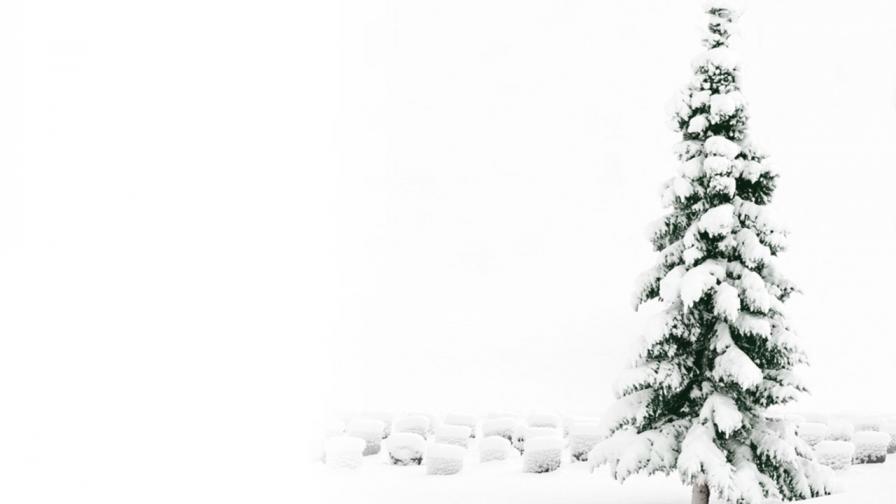 896x504 Snowy Christmas Tree - Tree Sketch Wallpaper
