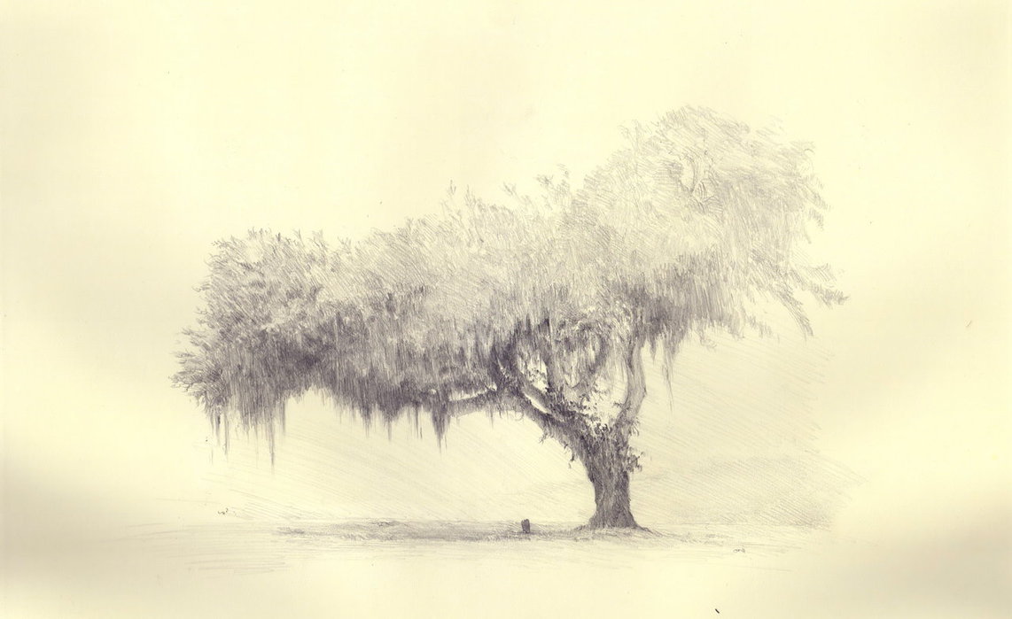 1142x699 Tree Sketch 1 By Unsmoking Cigarette - Tree Sketch Wallpaper