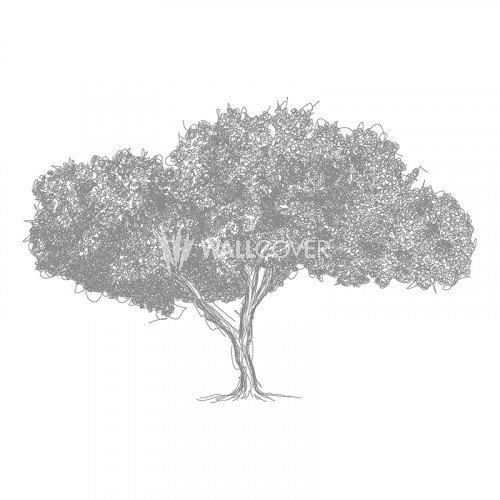 500x500 Wallpaper 470535 Ap Digital 2 Online Shop - Tree Sketch Wallpaper
