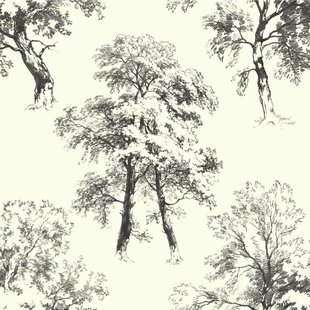 310x310 White Birch Tree Wallpaper Wayfair - Tree Sketch Wallpaper
