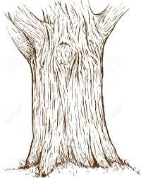 200x252 Image Result For Realistic Tree Trunk Drawing Tree - Tree Stump Sketch