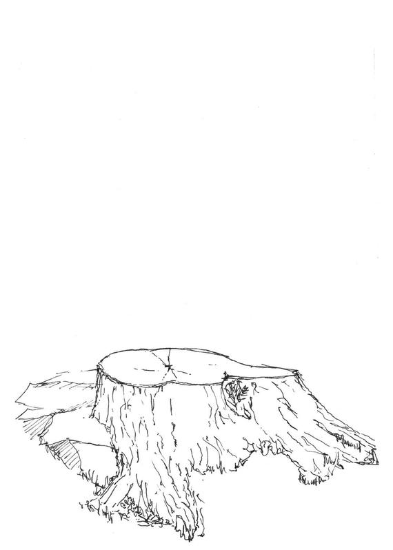 570x798 Ink Sketch Of A Tree Stump Etsy - Tree Stump Sketch