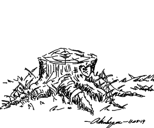 300x250 Pen Sketch Of A Tree Stump - Tree Stump Sketch