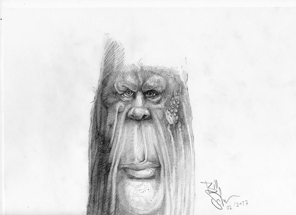 1000x727 Sketch Of The Day - Tree Stump Sketch