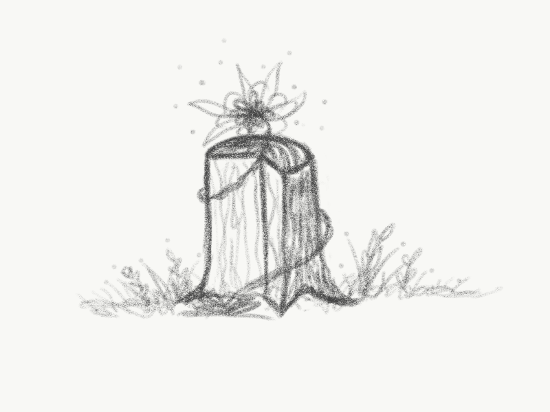 800x600 Tree Stump Adobe Sketch App By Jasmine - Tree Stump Sketch