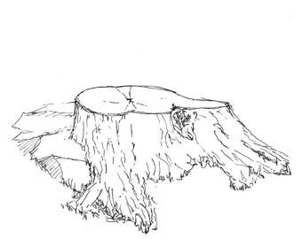 340x270 Tree Stump Drawing Etsy - Tree Stump Sketch