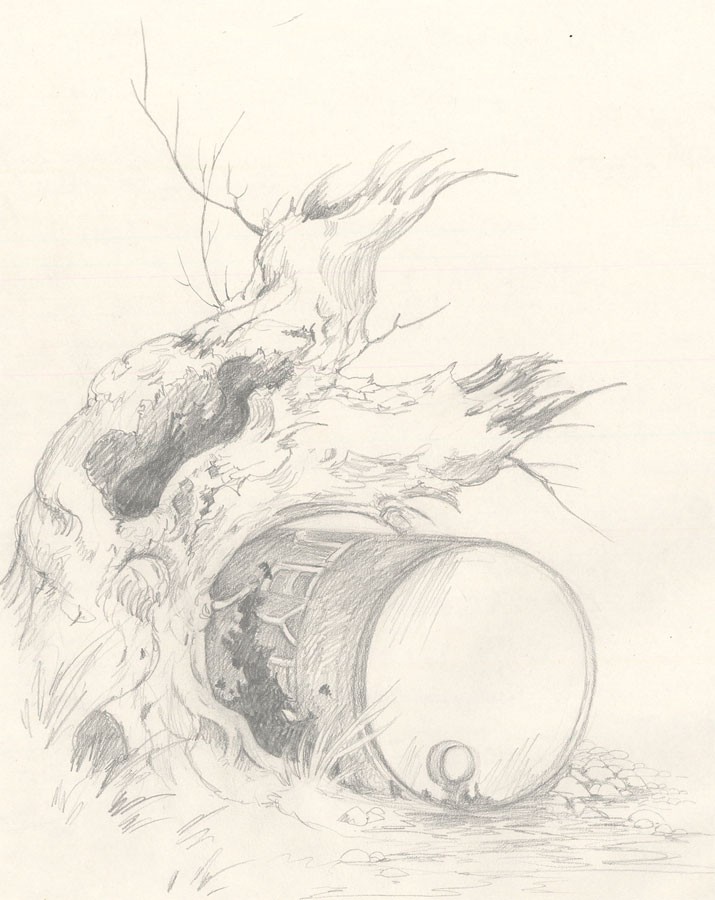 715x900 Frances Fry - Tree Stump Sketch
