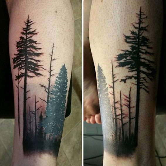 566x566 60 Forearm Tree Tattoo Designs For Men - Tree Tattoo Sketch