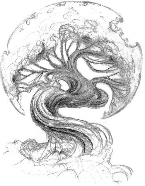 495x634 Asian Oak Tree Tattoo Sketch - Tree Tattoo Sketch