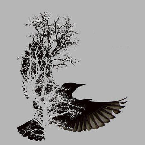 500x500 Crow On Tree Tattoo Sketch Photo - Tree Tattoo Sketch