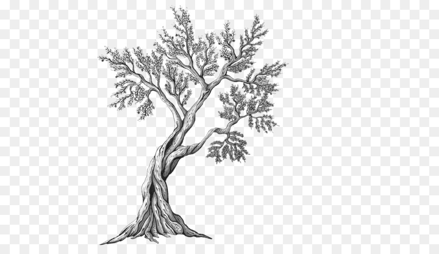 900x520 Drawing Painting Tattoo Sketch - Tree Tattoo Sketch