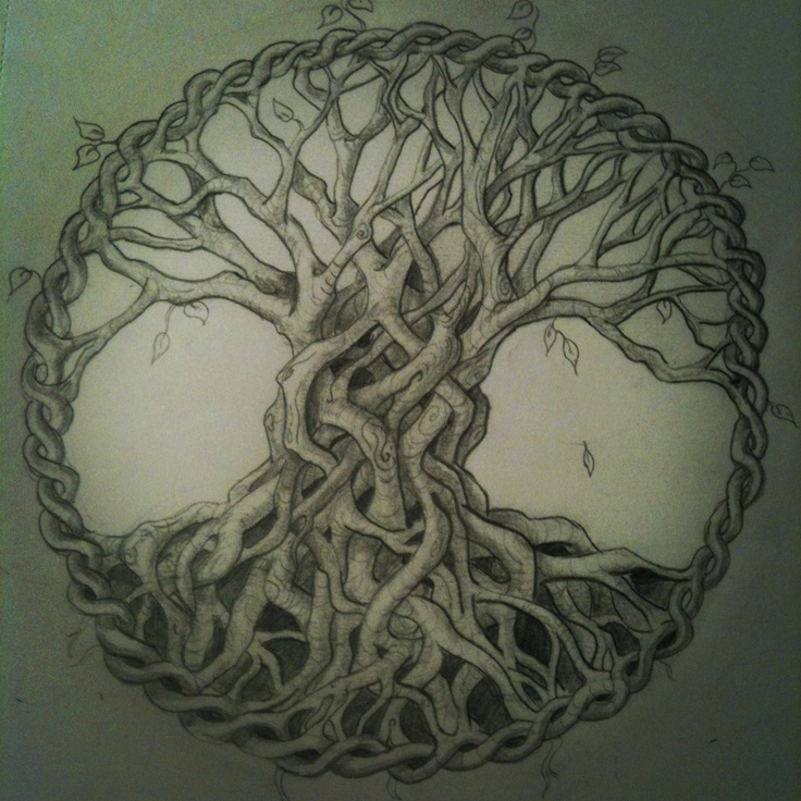 736x736 Celtic Tree Tattoos And Designs - Tree Tattoo Sketch
