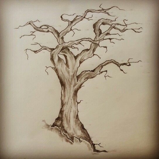 544x544 Tree Tattoo Sketch By - Tree Tattoo Sketch