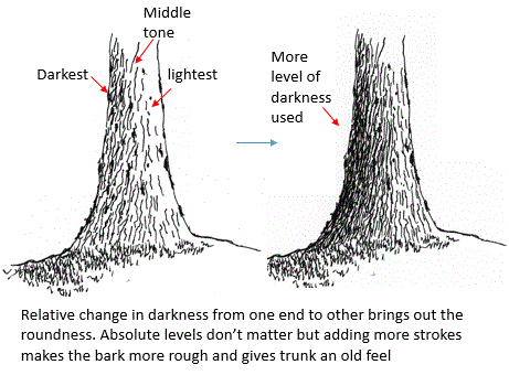 461x350 How To Draw Tree Trunks With Pen And Ink My Pen And Ink Drawings - Tree Trunk Sketch