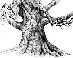 251x201 Image Result For Realistic Tree Trunk Drawing Outdoor Landscape - Tree Trunk Sketch