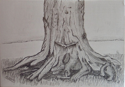 Tree Trunk Sketch at PaintingValley.com | Explore collection of Tree ...