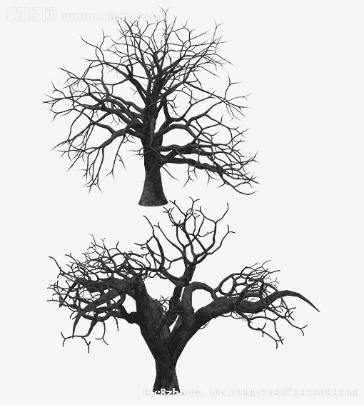 510x567 Black And White Tree Trunk, Trunk, Black And White, Sketch Png And - Tree Trunk Sketch