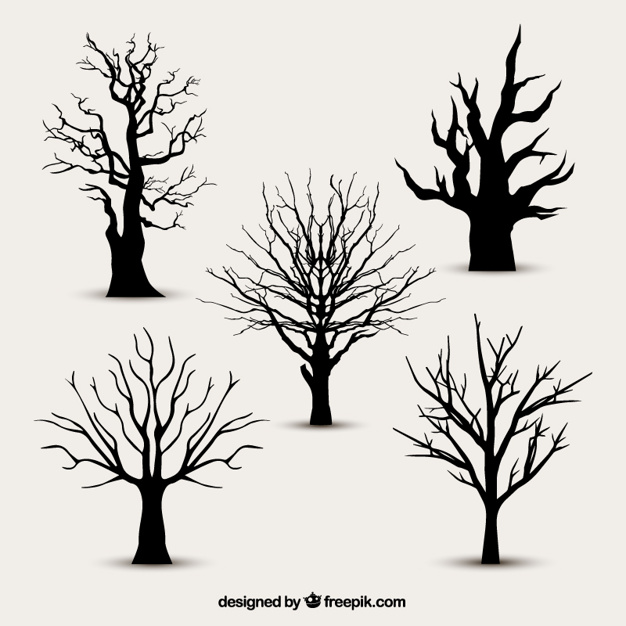 626x626 Tree Silhouettes Without Leaves Vector Free Download - Tree Without Leaves Sketch