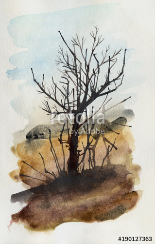 319x500 Watercolor Sketch Of Tree Without Leaves Stock Photo And Royalty - Tree Without Leaves Sketch