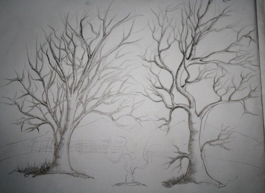  Tree Without Leaves Sketch at PaintingValley.com Explore collection 