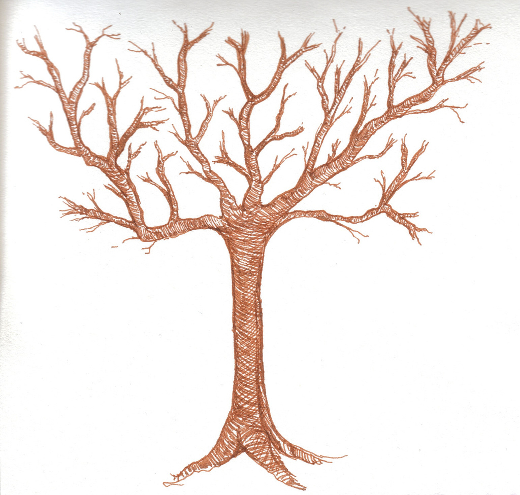 Tree Without Leaves Sketch at Explore