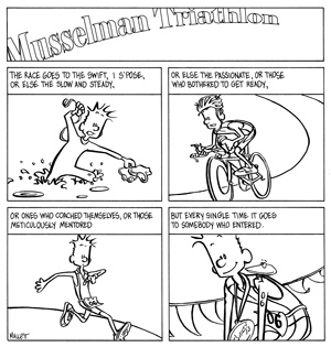 300x315 Musselman Triathlon - Triathlon Sketch