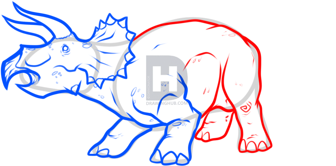 1080x534 How To Draw A Triceratops, Step By Step, Drawing Guide, By - Triceratops Sketch