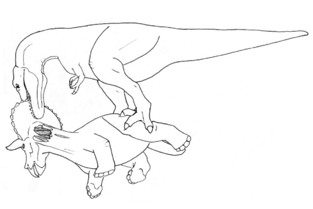 1000x667 How To Properly Butcher And Eat A Triceratops Popular Science - Triceratops Sketch