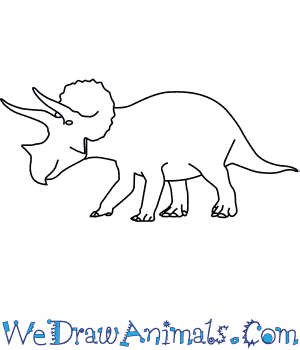 300x350 How To Draw A Triceratops - Triceratops Sketch