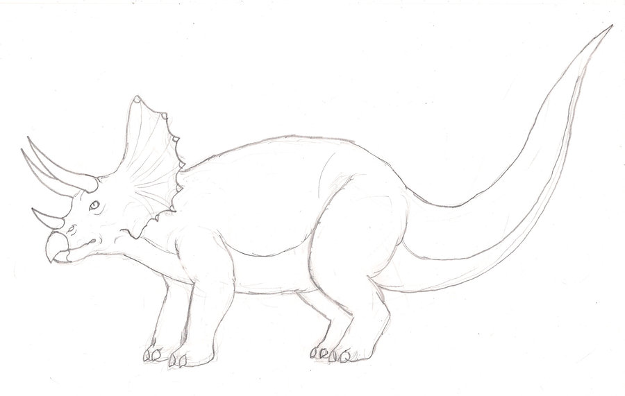 900x571 Triceratops - Triceratops Sketch