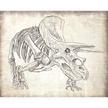 350x350 Triceratops Sketch Poster - Triceratops Sketch