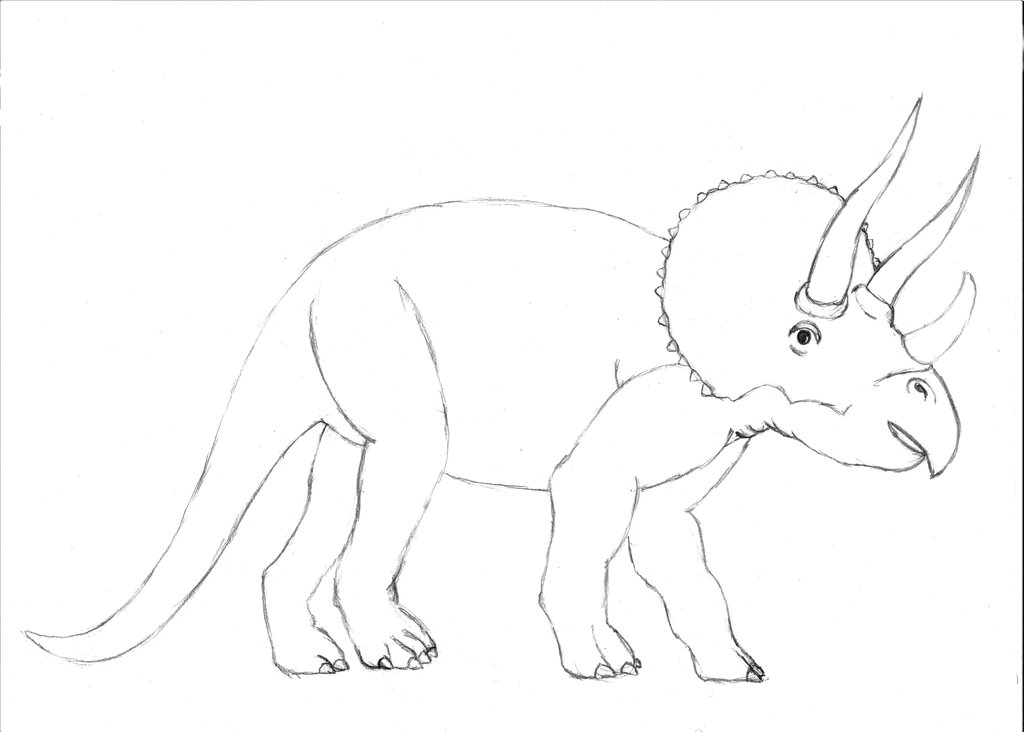 1024x732 Triceratops Sketch - Triceratops Sketch