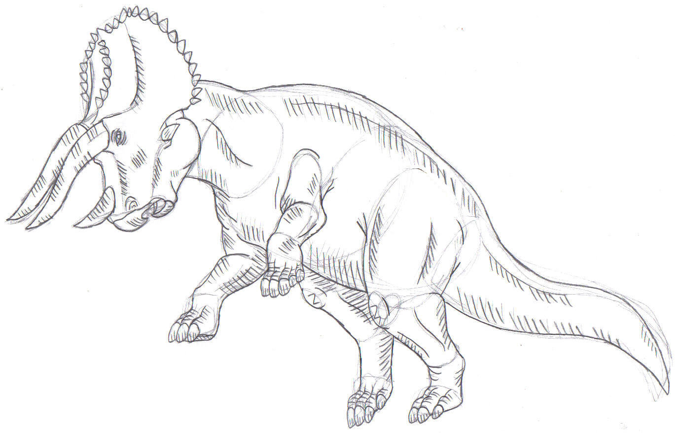 1375x879 Triceratops Sketch By Bluedramon - Triceratops Sketch