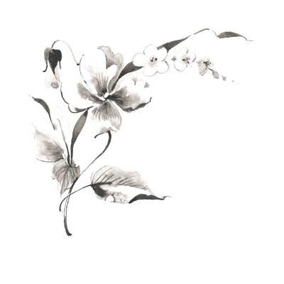 400x400 Gray Scale Sketch Of Orchid Art Print - Trillium Sketch