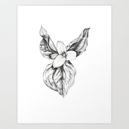 264x264 Trillium Art Prints Society6 - Trillium Sketch