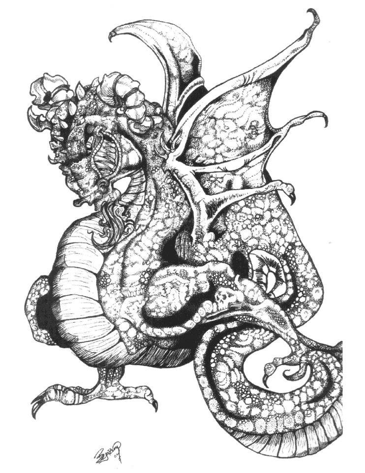 742x960 Drawn Triipy Dragon - Trippy Sketches