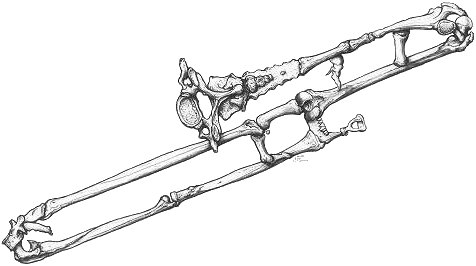 476x266 Trombones, Medusa Amp Shoe Horns By Don Stewart - Trombone Sketch