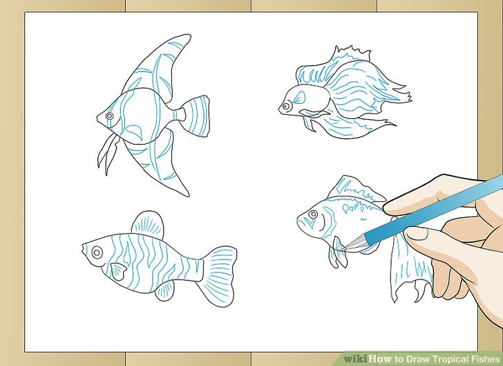 728x529 How To Draw Tropical Fishes 8 Steps (With Pictures) - Tropical Fish Sketch
