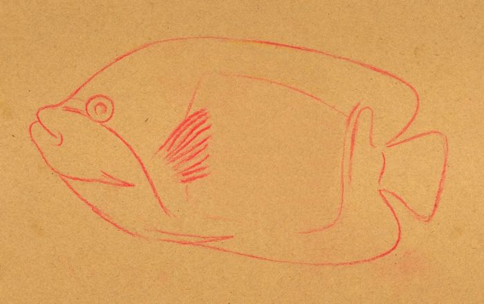 700x440 How To Draw A Tropical Fish - Tropical Fish Sketch