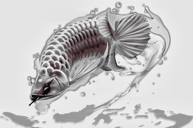 660x440 Product Hutan - Tropical Fish Sketch
