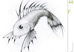 300x210 Pencil Sketch Fish Tropical Fish - Tropical Fish Sketch