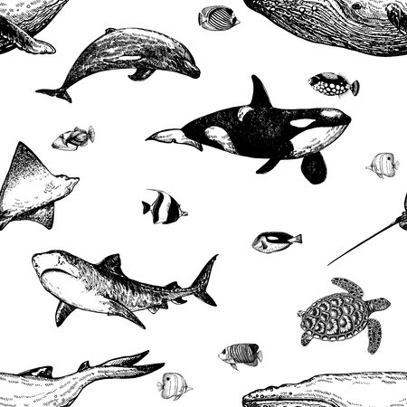 450x450 Seamless Pattern Of Hand Drawn Sketch Style Marine Animals And - Tropical Fish Sketch