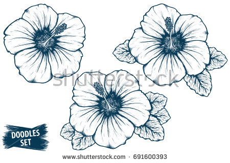 Tropical Flower Sketch