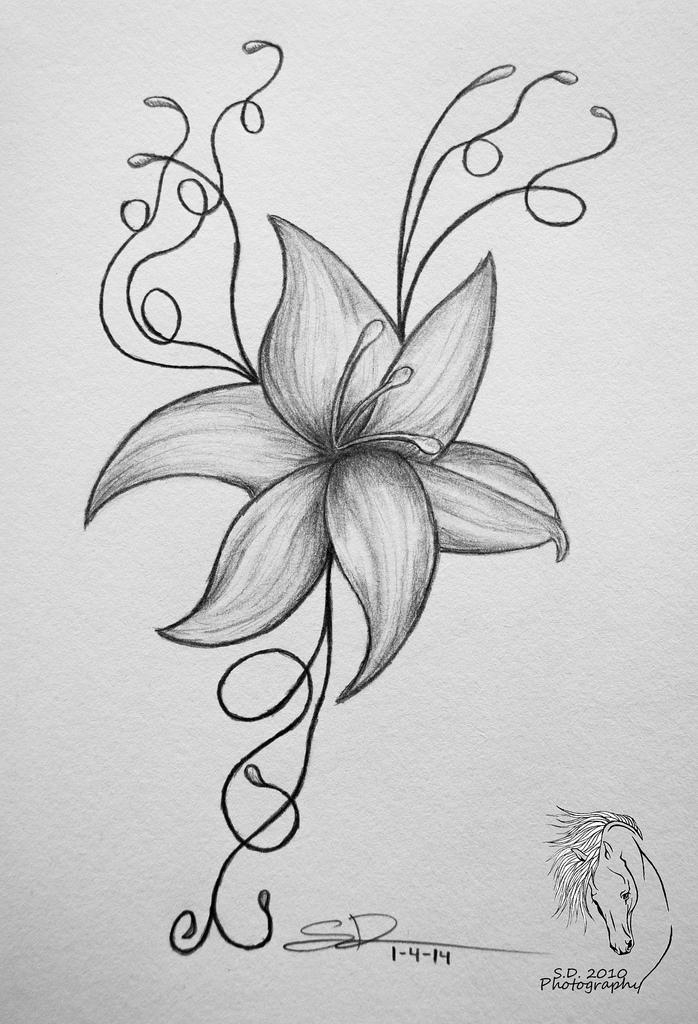 698x1024 Dreams Of Tropical Paradise - Tropical Flower Sketch