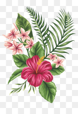 260x380 Tropical Flower Png Amp Tropical Flower Transparent Clipart Free - Tropical Flower Sketch
