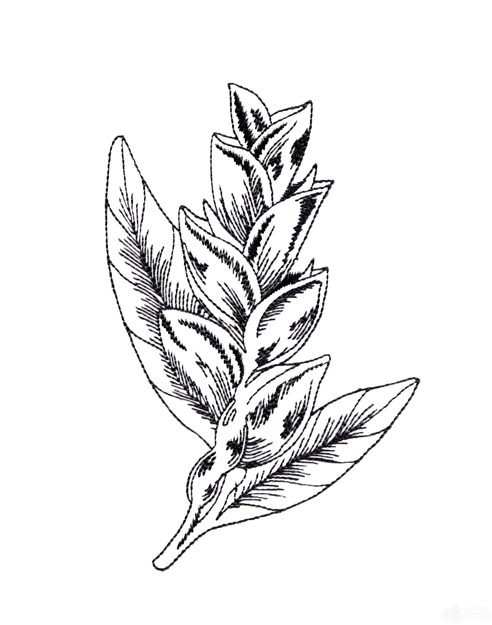 1715x2178 Bot419 Tropical Floral Sketch Embroidery Design - Tropical Flower Sketch